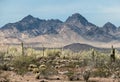 Kofa National Wildlife Refuge, western Arizona Royalty Free Stock Photo