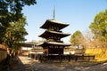 Kofukuji in Nara, Japan