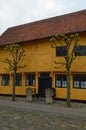 Colourful building and pollard trees Koge Denmark Royalty Free Stock Photo