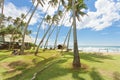 Koggala Beach, Sri Lanka - Palm trees on a meadow at Koggala Beach