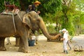 KOH CHANG, THAILAND - January, 2013: Elephant trekking on Koh Chang, Thailand
