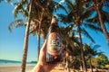 Sunny beach and popular asian Leo beer bottle in happy tourist hand under palms o