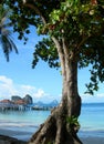 Koh Ngai Royalty Free Stock Photo