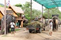 KOH SAMUI, THAILAND - OCTOBER 23, 2013: Farm elephants for trekking.