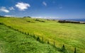 Kohala Mountain Highway between Hawi and Waimea Royalty Free Stock Photo