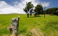 Kohala Mountain Highway between Hawi and Waimea Royalty Free Stock Photo