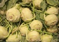 Kohl rabi Lanro Royalty Free Stock Photo