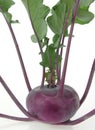 Kohlrabi