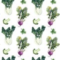 Kohlrabi, bok choy, Chinese cabbage, broccoli, parsley watercolor pattern, white background. Realistic food illustration Royalty Free Stock Photo