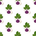 Vegetable Cabbage Kohlrabi. Patterns