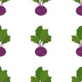 Vegetable Cabbage Kohlrabi. Patterns