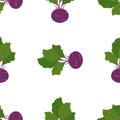 Vegetable Cabbage Kohlrabi. Patterns