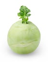 Kohlrabi cabbage on white isolated background. Close-up.