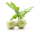 Fresh kohlrabi isolated on white