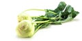 Kohlrabi German turnip or turnip cabbage two raw bulbs with fresh leaves isolated on white background. Royalty Free Stock Photo