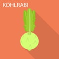 Kohlrabi icon, flat style