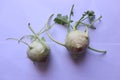 Kohlrabi isolated on a white background