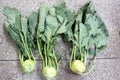 Kohlrabi, knol khol Royalty Free Stock Photo