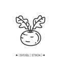 Kohlrabi line icon. Superfood illustration