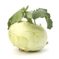 Kohlrabi tuber