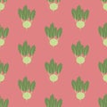 Kohlrabi Vegetable pattern