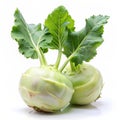 Kohlrabi & x28;German turnip or turnip cabbage& x29; two raw bulbs with fresh leaves isolated on white background. Ai
