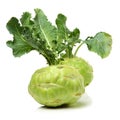 Kohlrabies Royalty Free Stock Photo
