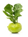 Kohlrabies