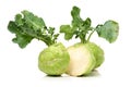 Kohlrabies