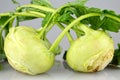 Kohlrabies on the table Royalty Free Stock Photo