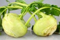 Kohlrabies on the table