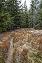 Kohut hill, Stolica mountains, Slovakia, seasonal natural scene