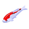 Koi carp fish icon, isometric style Royalty Free Stock Photo