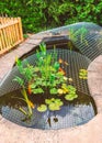 Koi carp fish pond in a garden or yard with a metal framework cover as protection against herons. Royalty Free Stock Photo