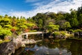 Koi or carp fish on pond with Koko-en autumn garden, Himeji Royalty Free Stock Photo