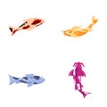 Koi carp icons set cartoon vector. Colorful japanese fish