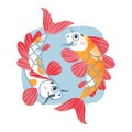 Koi carp, Japanese or Chinese fish, Japan traditional zen symbol, oriental goldfish