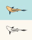 Koi Carp, Japanese Fish. Korean Animal. Engraved Hand Drawn Line Art Vintage Tattoo Monochrome Sketch For Poster Or
