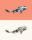 Koi Carp, Japanese Fish. Korean Animal. Engraved Hand Drawn Line Art Vintage Tattoo Monochrome Sketch For Poster Or