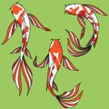 Koi Carp vector clip art set of images cartoon asian fish isolated illustration Royalty Free Stock Photo
