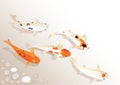 Koi carp Royalty Free Stock Photo