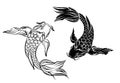 Koi carp vector isolate for tattoo style.Japanese carp drawing.Hand drawn line art of fish. Royalty Free Stock Photo