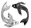 Koi carp vector isolate for tattoo style.Japanese carp drawing.Hand drawn line art of fish.