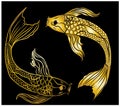 Koi carp vector isolate for tattoo style.Japanese carp drawing.Hand drawn line art of fish. Royalty Free Stock Photo