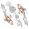 Koi carps fish with lotus vector illustration. Japanese oriental style colorful carps swimming