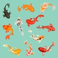 Koi fish. Botanical japanese fish, garden lake carps. Decorative goldfish, underwater animals asian style. Oriental