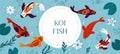 Koi fish. Decorative Asian pond. Japanese carps top view. Colored nishikigoi. Goldfish swimming in Chinese lake. Water