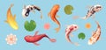 Koi fish. Exotic swimming animal asian fish top view exact vector template illustrations Royalty Free Stock Photo