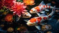 Koi fish and flower in the pond with sunlight, stock photo , Generate AI Royalty Free Stock Photo