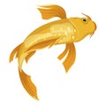 Koi fish icon, Japan golden water symbol Royalty Free Stock Photo